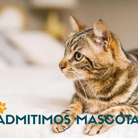 Independencia 3000 사라고사