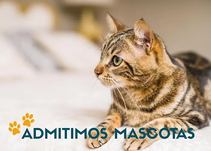 Independencia 3000 사라고사